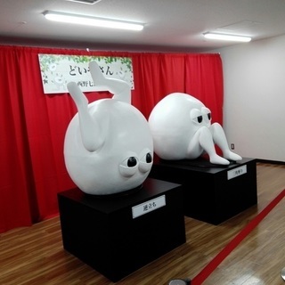 乃木坂46 ファン 募集