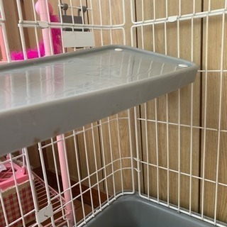 ネコのゲージ【売り切れ】の画像