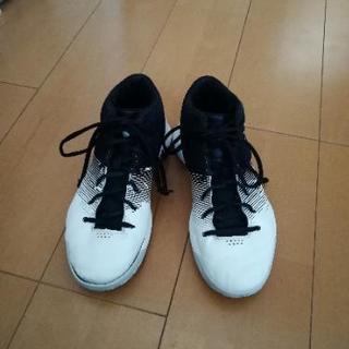 UnderArmour バッシュ 24.5cm