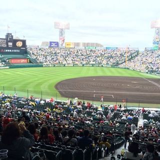 【半額】阪神 vs 広島5/17 (金) 18時アルプス席４連席☆の画像