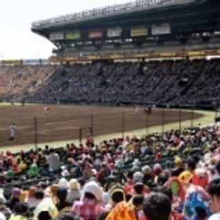 【半額】阪神 vs 広島5/17 (金) 18時アルプス席４連席☆の画像