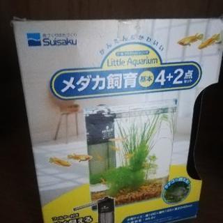 メダカ飼育セット！