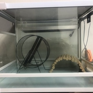 パンテオン6045  バリネズミ飼育セット