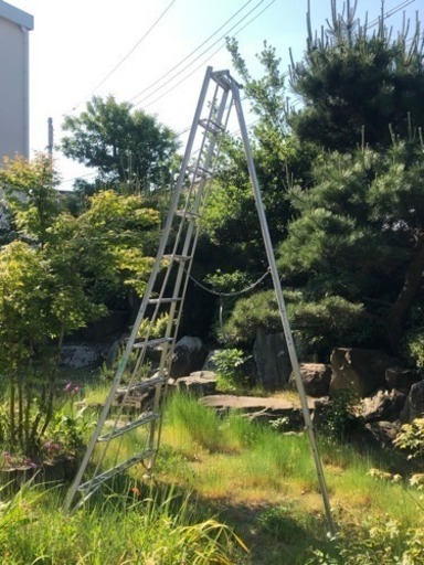 剪定用はしご