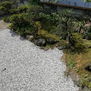 庭木、庭石あげます。