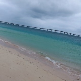 屋根、サイディング建築板金 社員募集 アルバイト