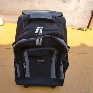 布製キャリーバック　リュックにもなります　中古