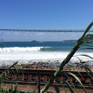 和泉‼️ サーフィン仲間募集🏄‍♂️