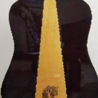 KANSASギター WG250の画像