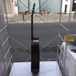 #2288アコースティックギター JASMINE BY TAKAMINEの画像