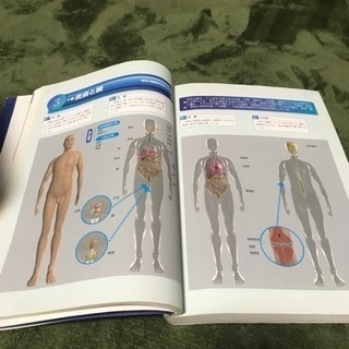 看護学辞典と解剖学生理（A4）サイズの画像