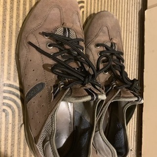エコー ecco の靴  くつの画像