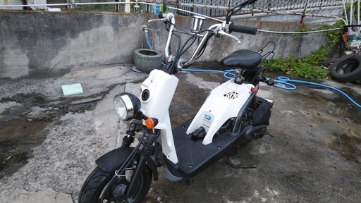 ☆☆ホンダバイト　AF59　白　激レア！ズーマーの弟分