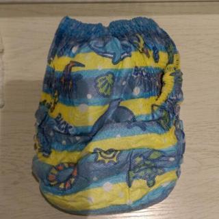 BIG水遊びﾊﾟﾝﾂ2枚&ﾅﾁｭﾗﾙMﾑｰﾆｰﾊﾟﾝﾂ５枚　100円の画像