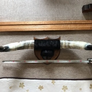 ☆水牛角・爪☆