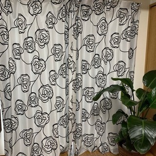 ニトリカーテン 美品❗️