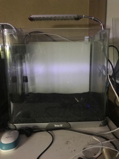 テトラ曲げガラス40センチ水槽フルセット仕様変更
