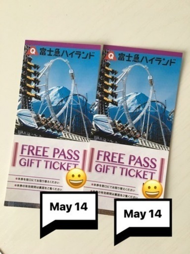 富士急ハイランド フリーパス 2枚組