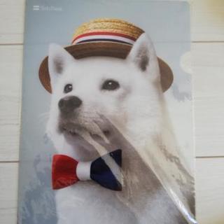 SoftBankのクリアファイル