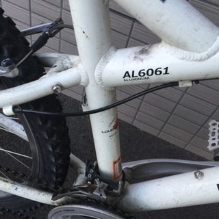 ルイガノ マウンテンバイクの画像