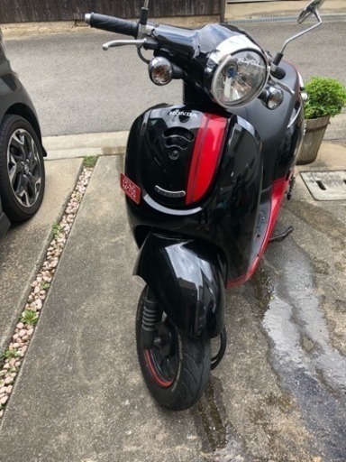 ホンダ ジョルノ 黒