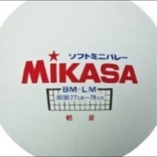 ミニバレーメンバー募集