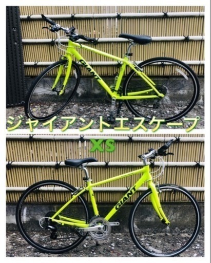 ジャイアントエスケープXS GIANT倉庫保管色褪せなし