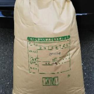 令和２年産 彩のかがやき 玄米３０キロ 彩のかがやきの中古が安い！激安で譲ります・無料であげます