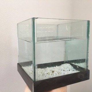 【日程調整中】水槽 の画像