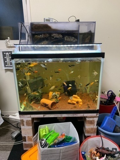 水槽一式セット 60×45×45 水槽台付き