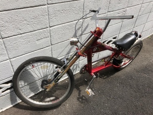 シュウイン スティングレイ