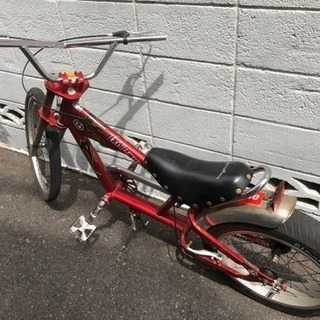 シュウイン スティングレイ