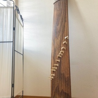 琴、箏、十三弦の画像