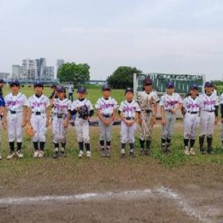 【5/19(日)世田谷フラワーズ🌺女子小~中学生⚾️参加者募集↔...