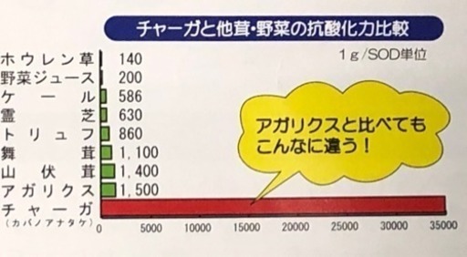 半額で！　健康に高品質なチャーガゴールド300粒