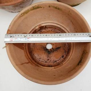 鉢植えセットの画像