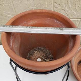 鉢植えセットの画像