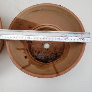 鉢植えセットの画像