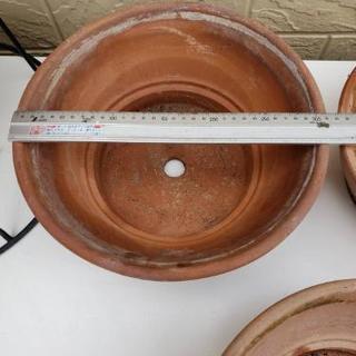 鉢植えセットの画像