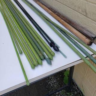 園芸用しちゅう17本の画像