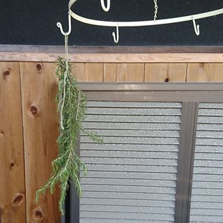 ハンギングサークルフック ホワイト の画像