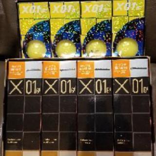 ツアーステージ　X01 G4  1ダース　X01 B+ 1ダース