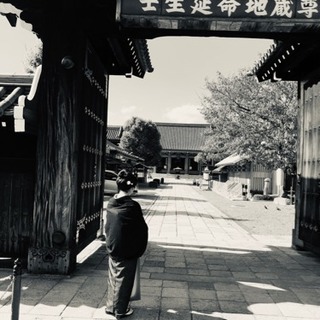 着物でお出かけしましょ