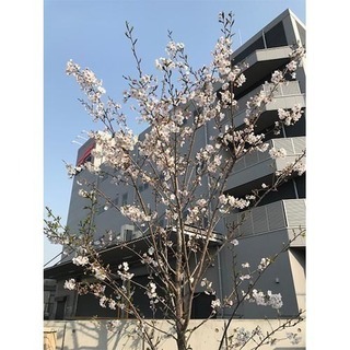 子育てママさんも活躍中！☆ネット販売商品の出荷作業☆未経験者でもOK！の画像