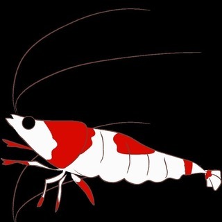 アクアリウム用品や生体(少数)を売って下さい。