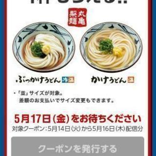 ツーリングうどんミートSoftbankスーパーフライディ