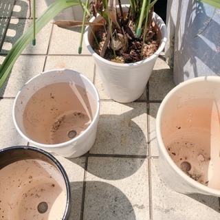 セトモノ植木鉢4つ！美品！の画像