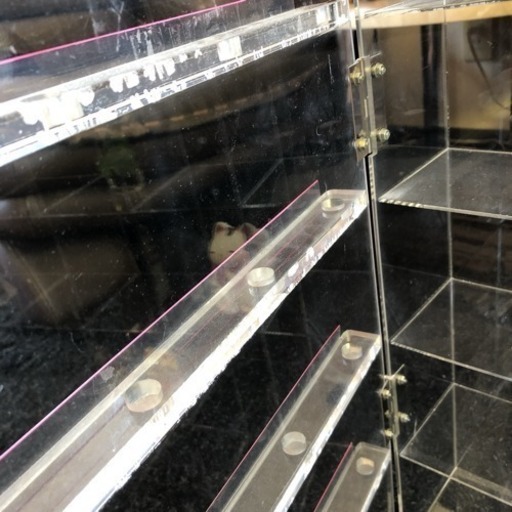 【店舗什器】ドア・カギ付きアクリルディスプレイ棚 40個収納可 中古品 フィギュアや雑貨、小物の収納に 飾り棚