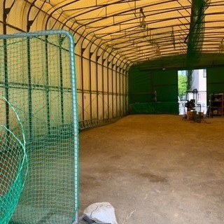 室内練習場、野球！の画像