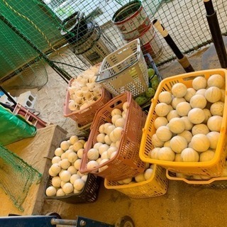 室内練習場、野球！の画像